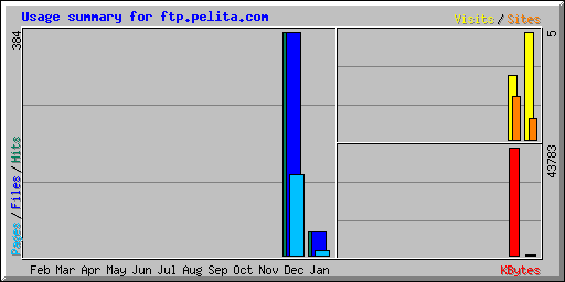 Usage summary for ftp.pelita.com